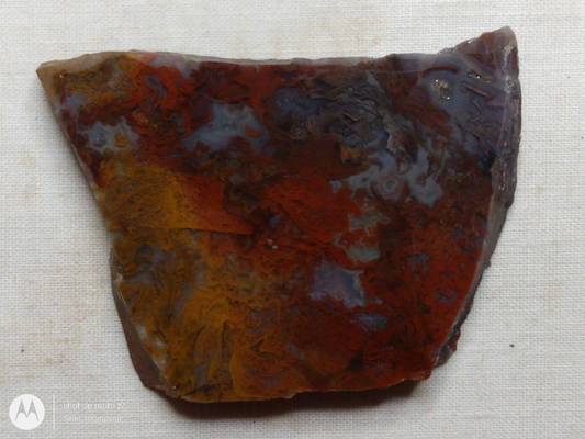 Holt Canyon Moss Agate HC-Bob-x1-00040