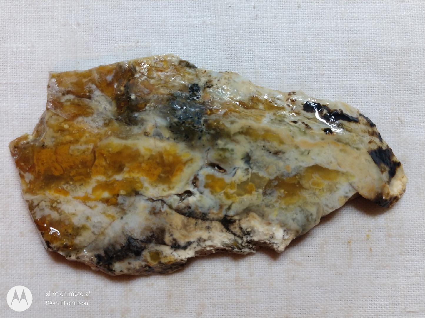 Brian Head Agate BH-00010-10