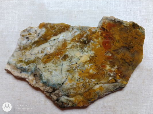 Brian Head Agate BH-00010-41