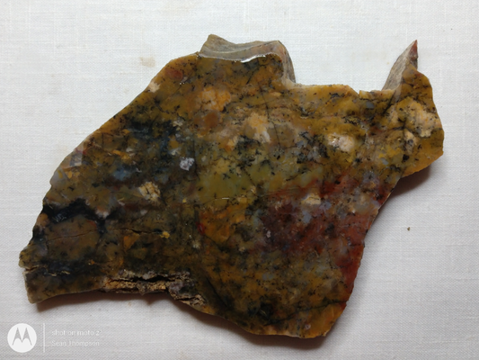 Holt Canyon Agate HC-00015-12