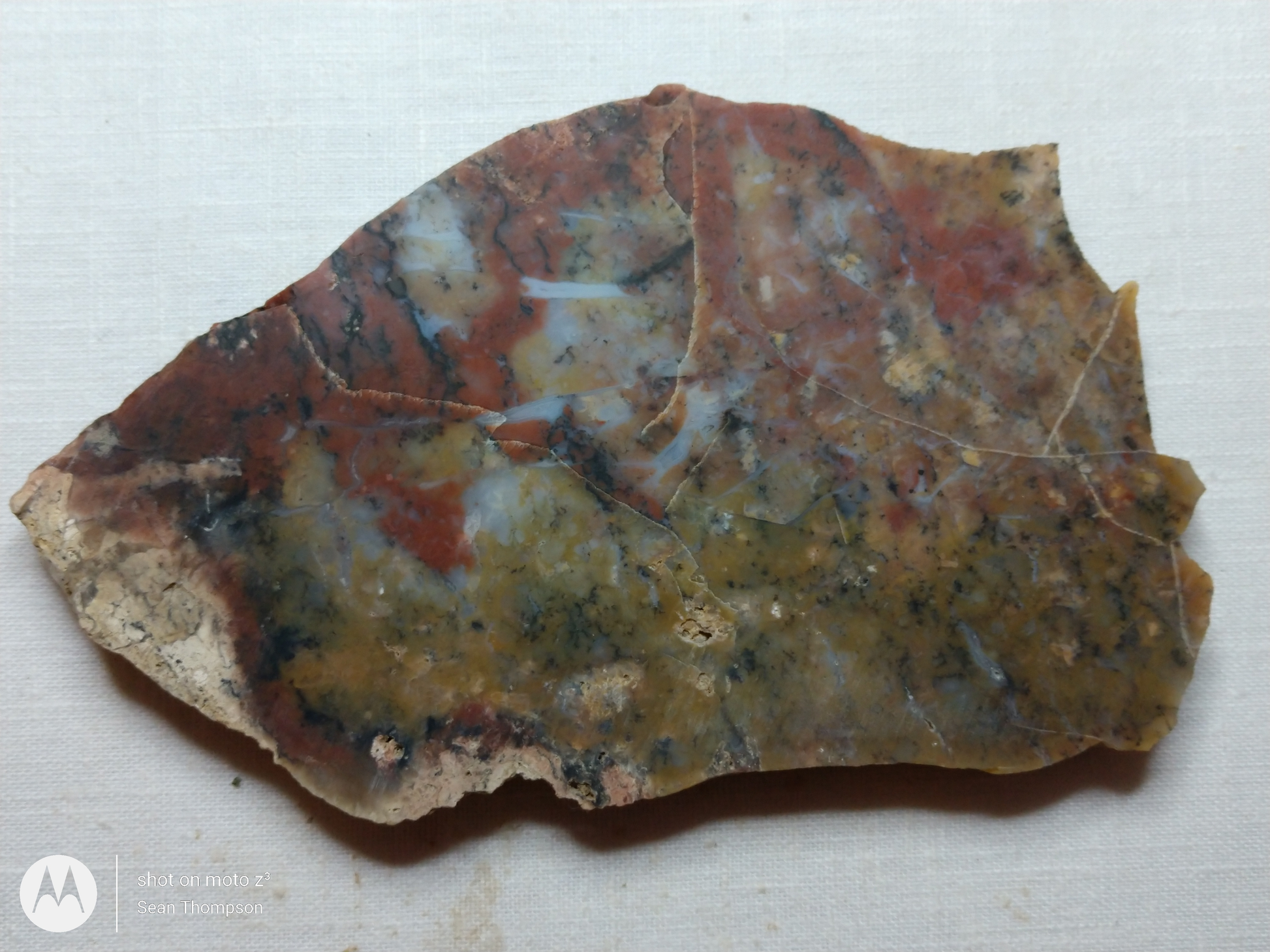 Holt Canyon Agate HC-00015-10