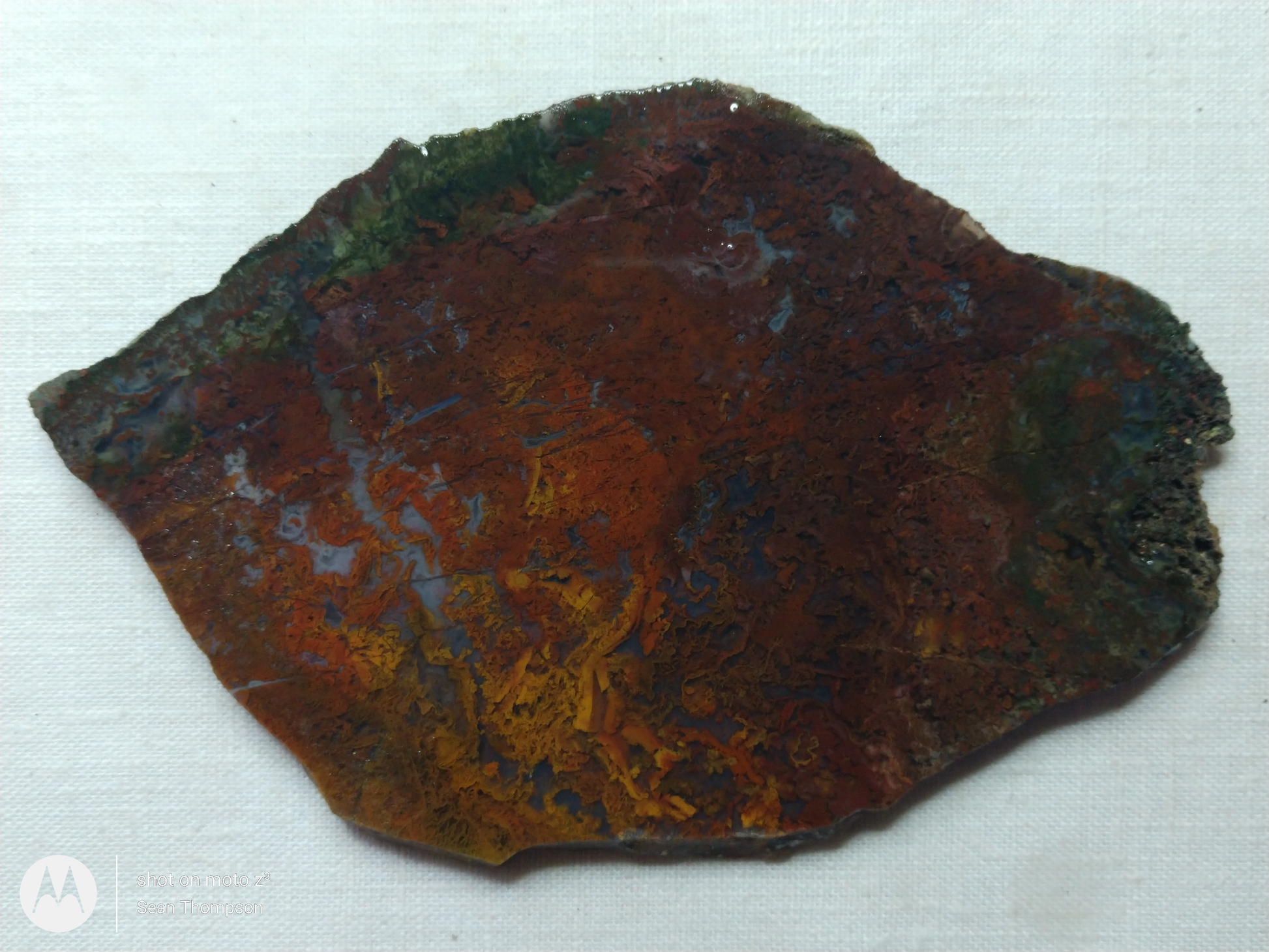 Holt Canyon Moss Agate HC-Bob-x1-00022