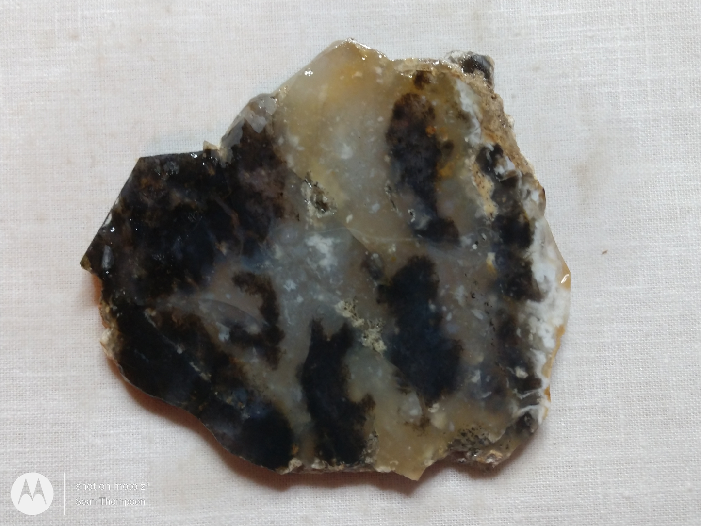 Brian Head Agate BH-00004-11