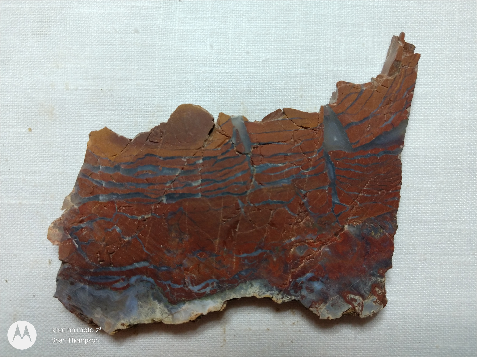 Holt Canyon Agate HC-00012-11