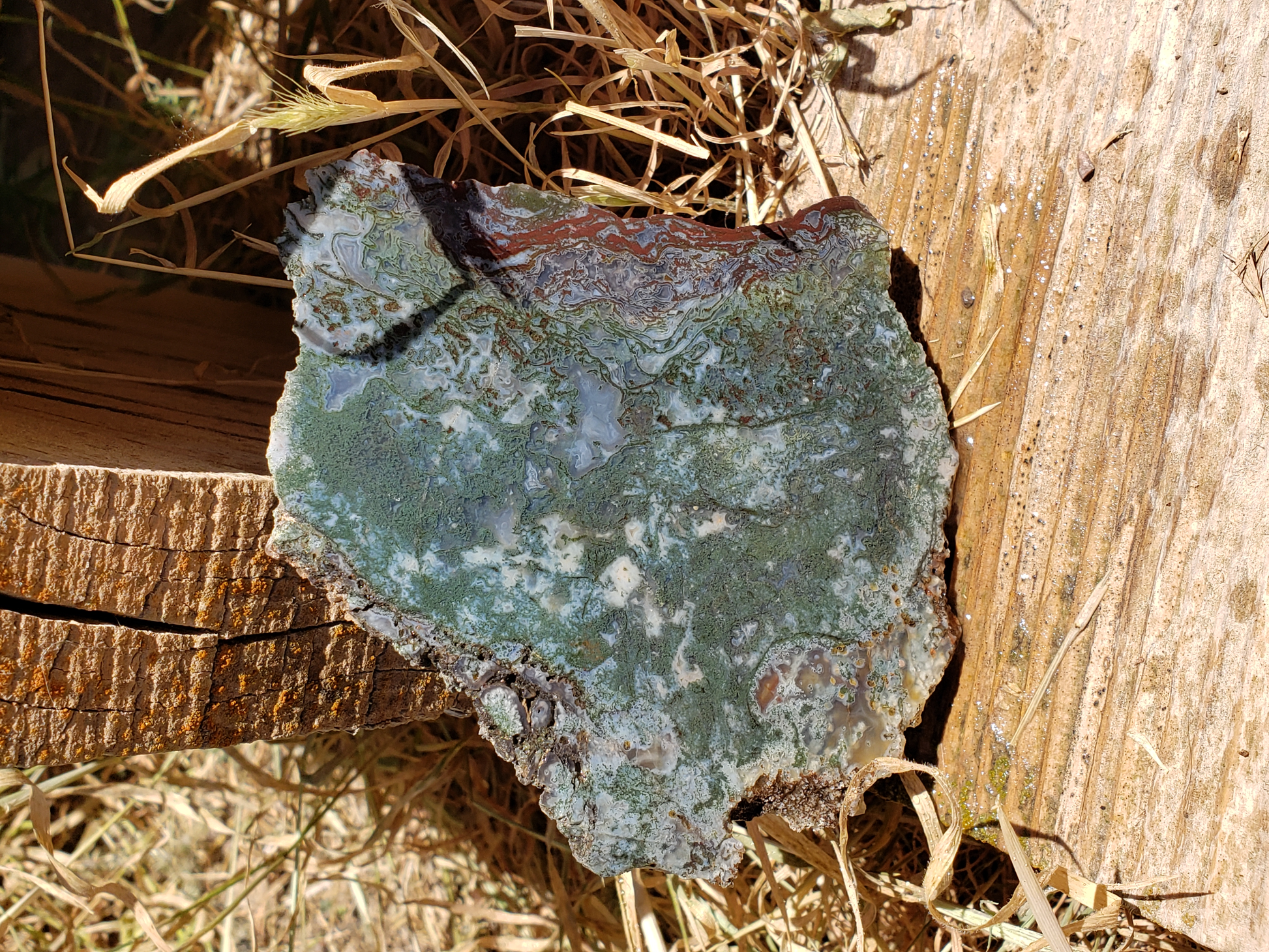 Holt Canyon Moss Agate HC-x-00005