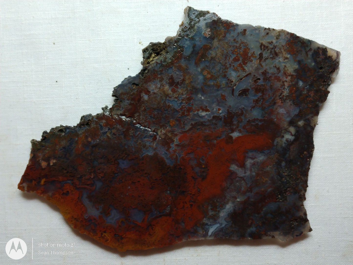 Holt Canyon Moss Agate HC-Bob-x1-00012