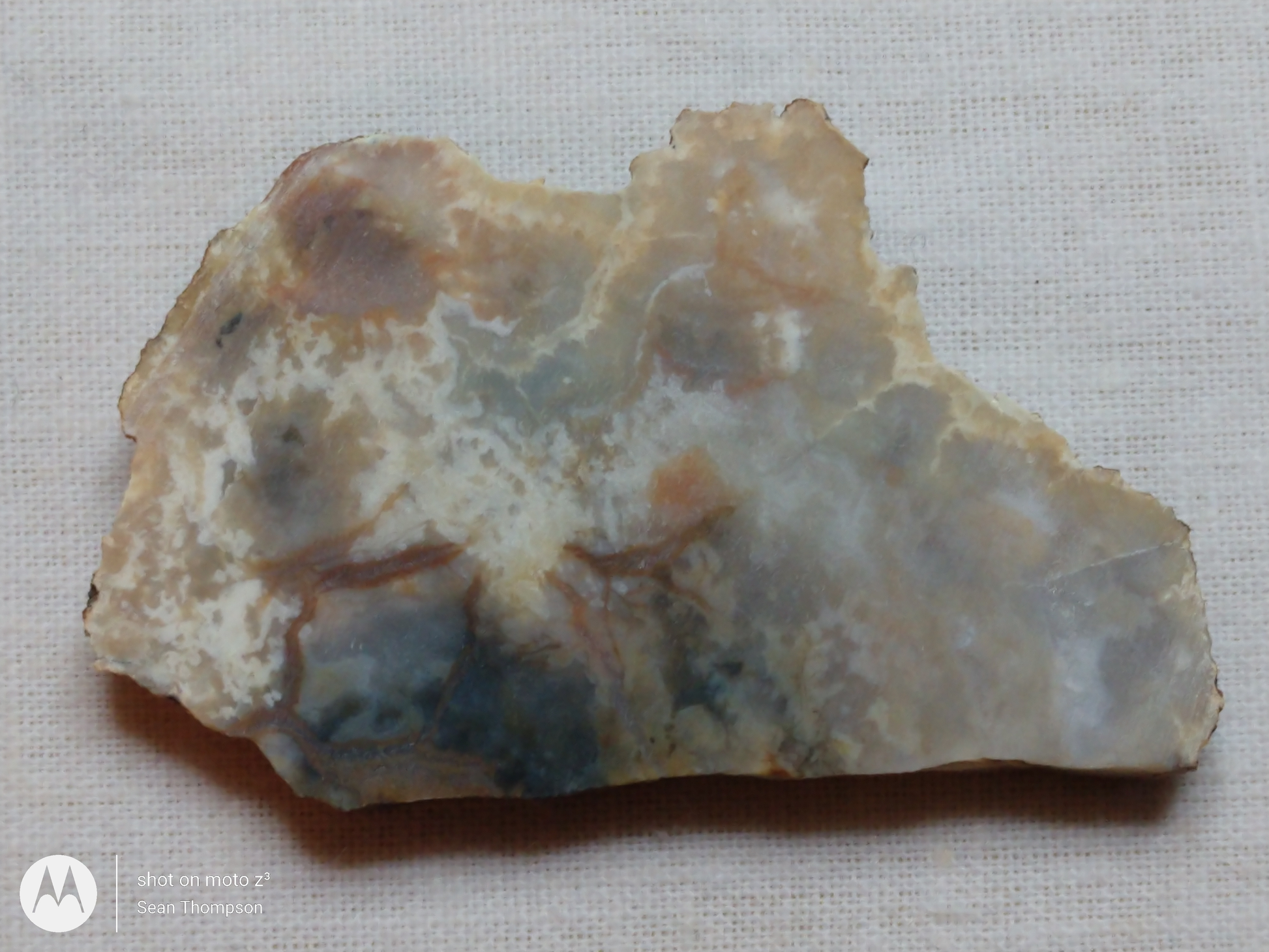 Coprolite FS-00006-02