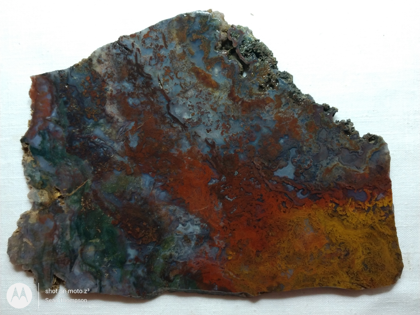 Holt Canyon Moss Agate HC-Bob-x1-00010