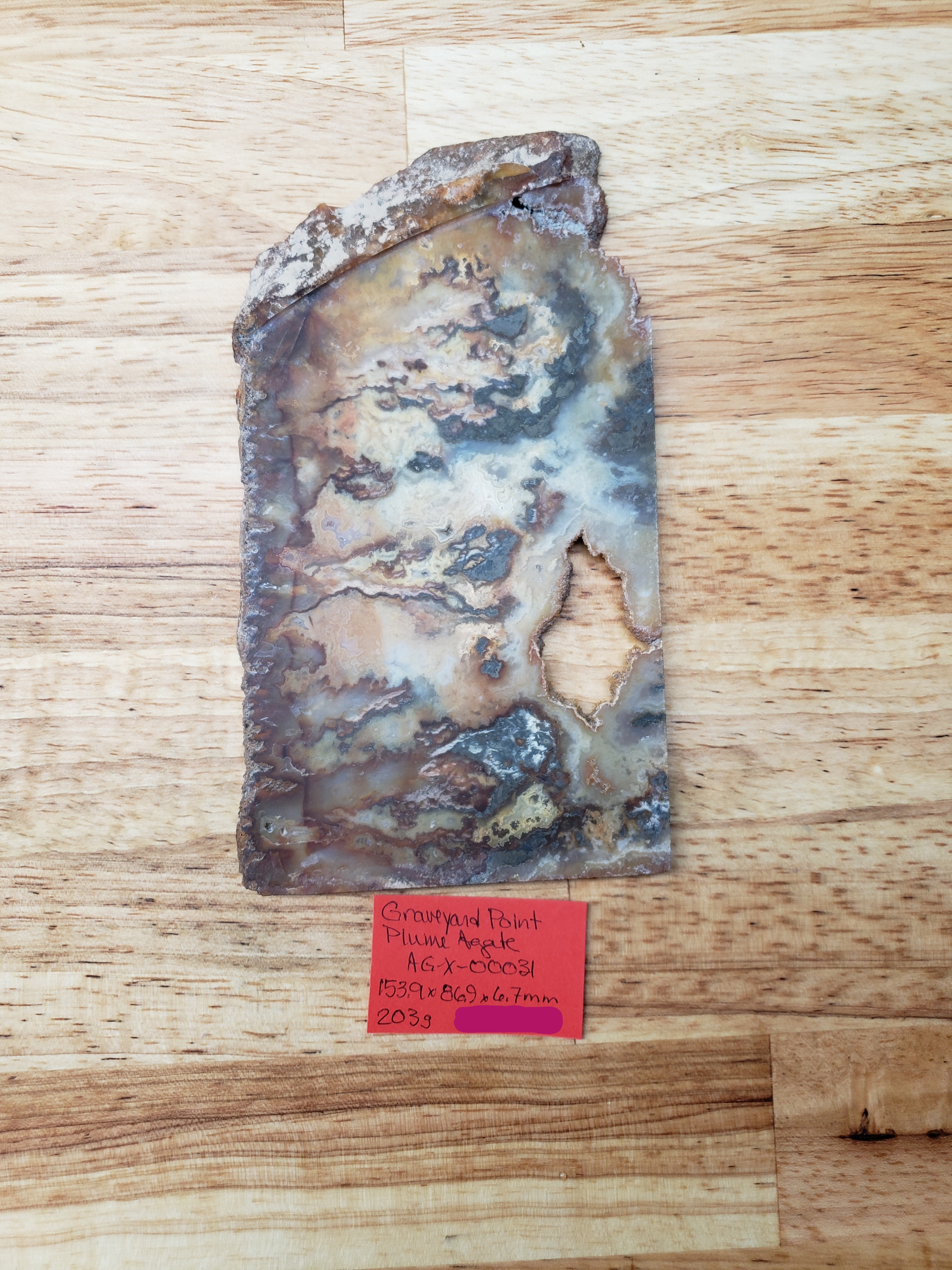 Graveyard Point Plume Agate AG-x-00031