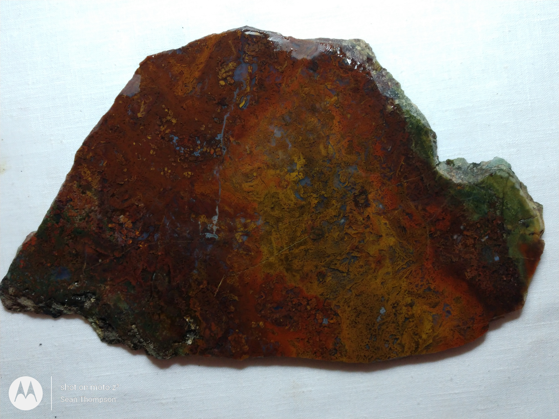 Holt Canyon Moss Agate HC-Bob-x1-00009