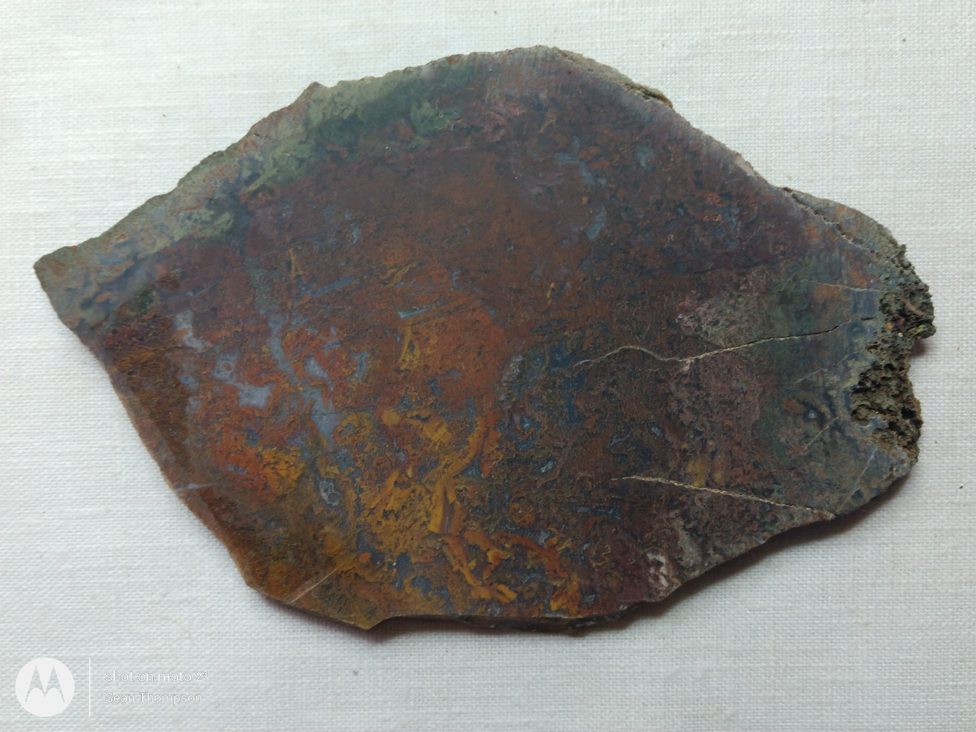 Holt Canyon Moss Agate HC-Bob-x1-00022