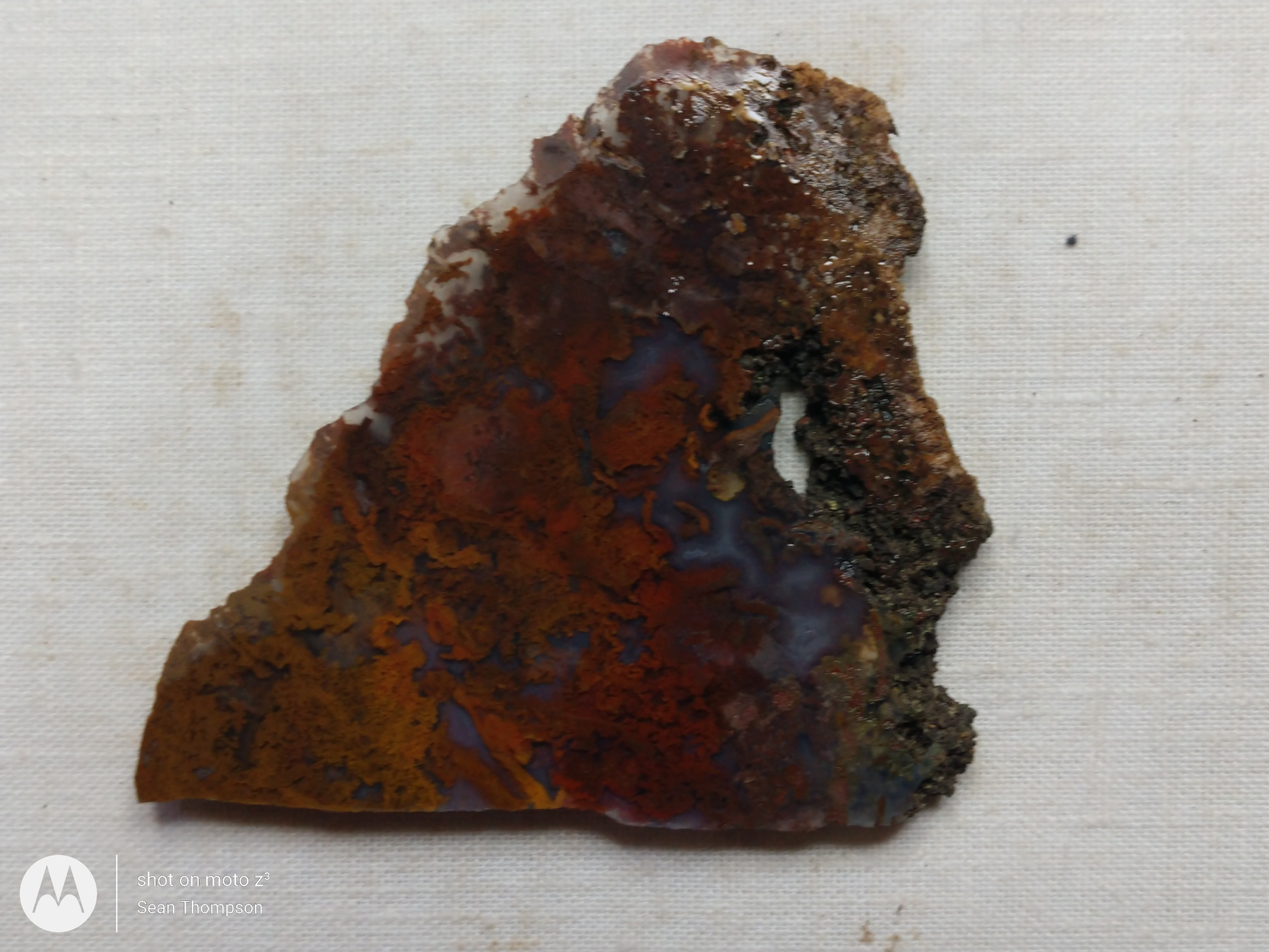 Holt Canyon Moss Agate HC-Bob-x1-00032