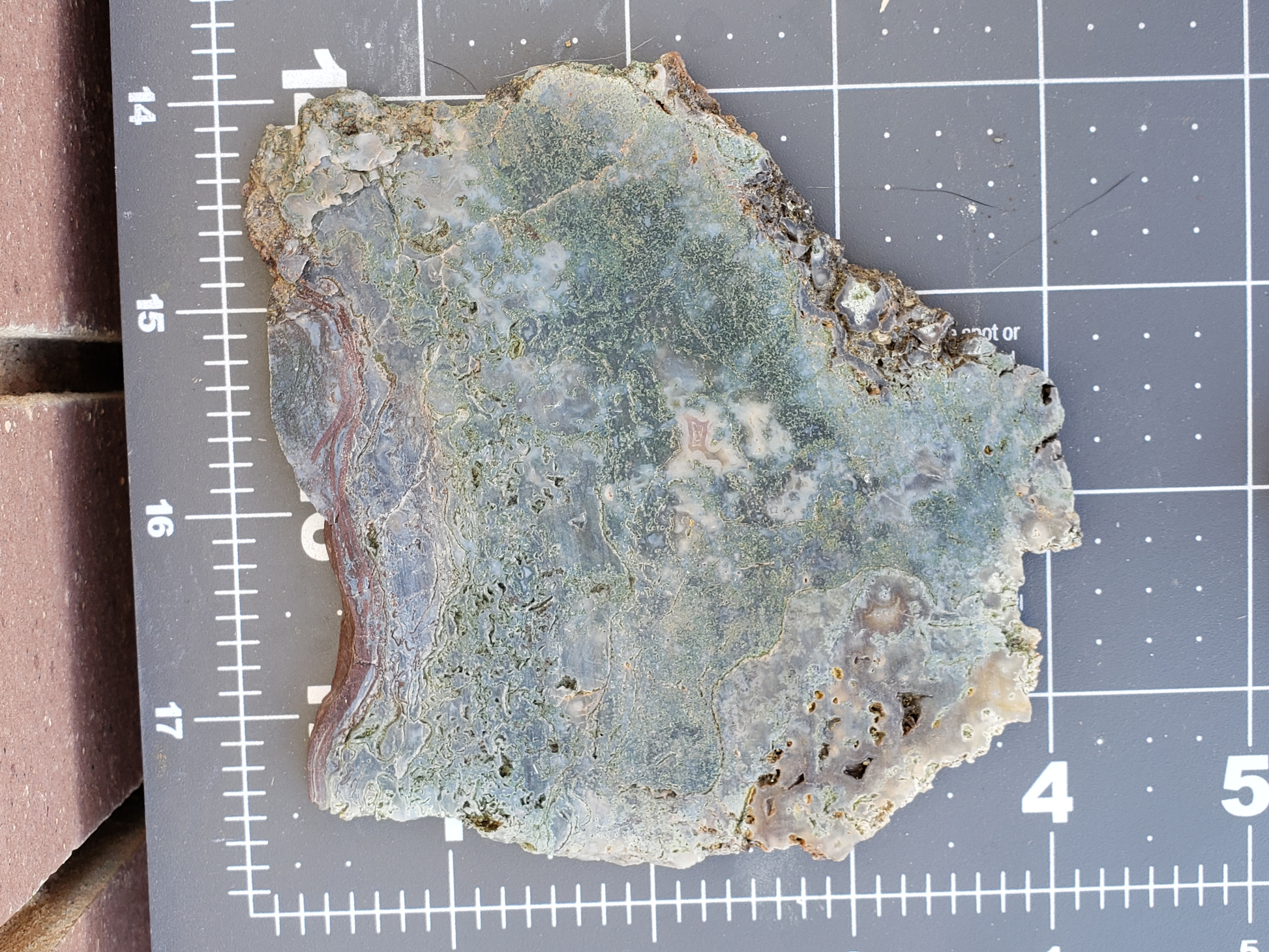 Holt Canyon Moss Agate HC-x-00005