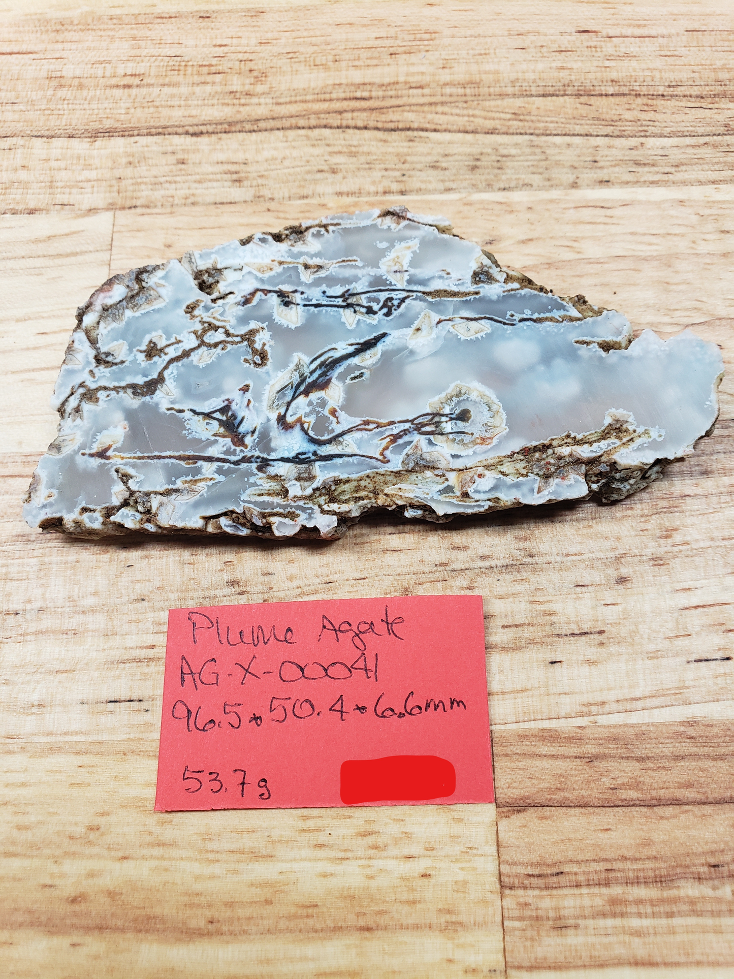 Plume Agate AG-x-00041