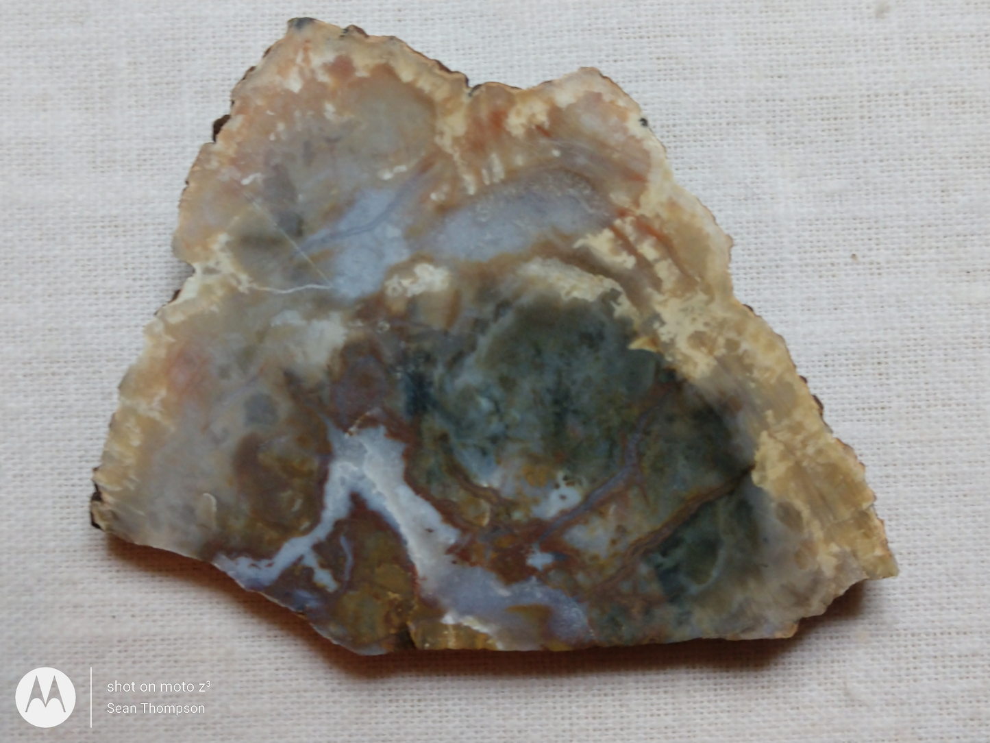 Coprolite FS-00006-07