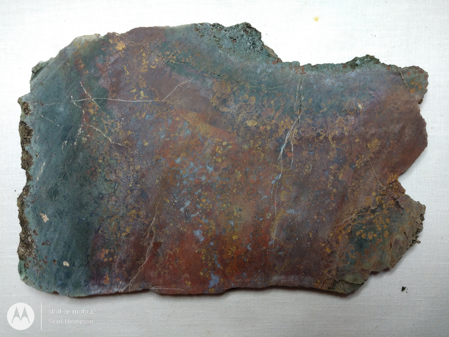 Holt Canyon Moss Agate HC-Bob-x1-00035