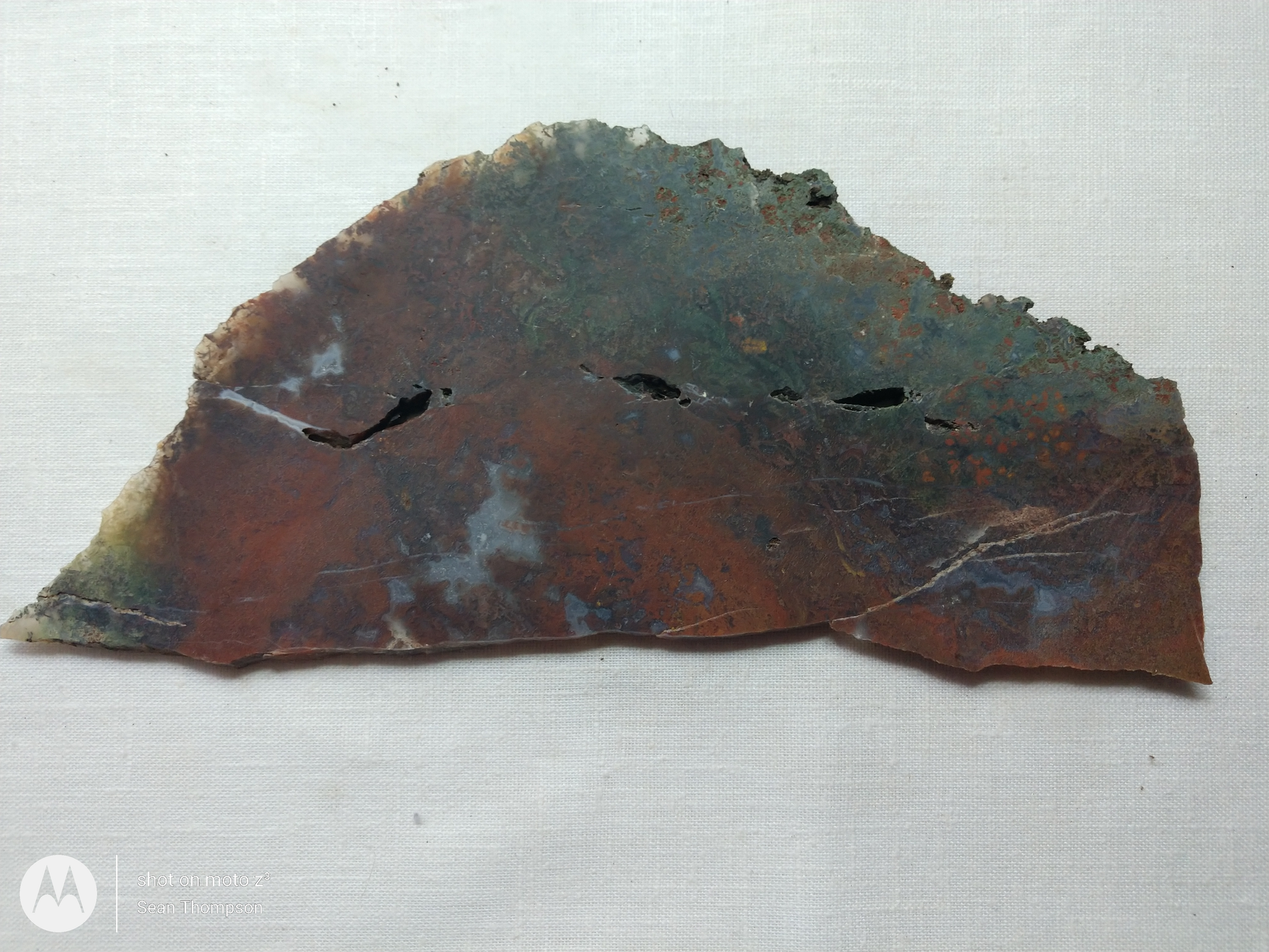 Holt Canyon Moss Agate HC-Bob-x1-00019