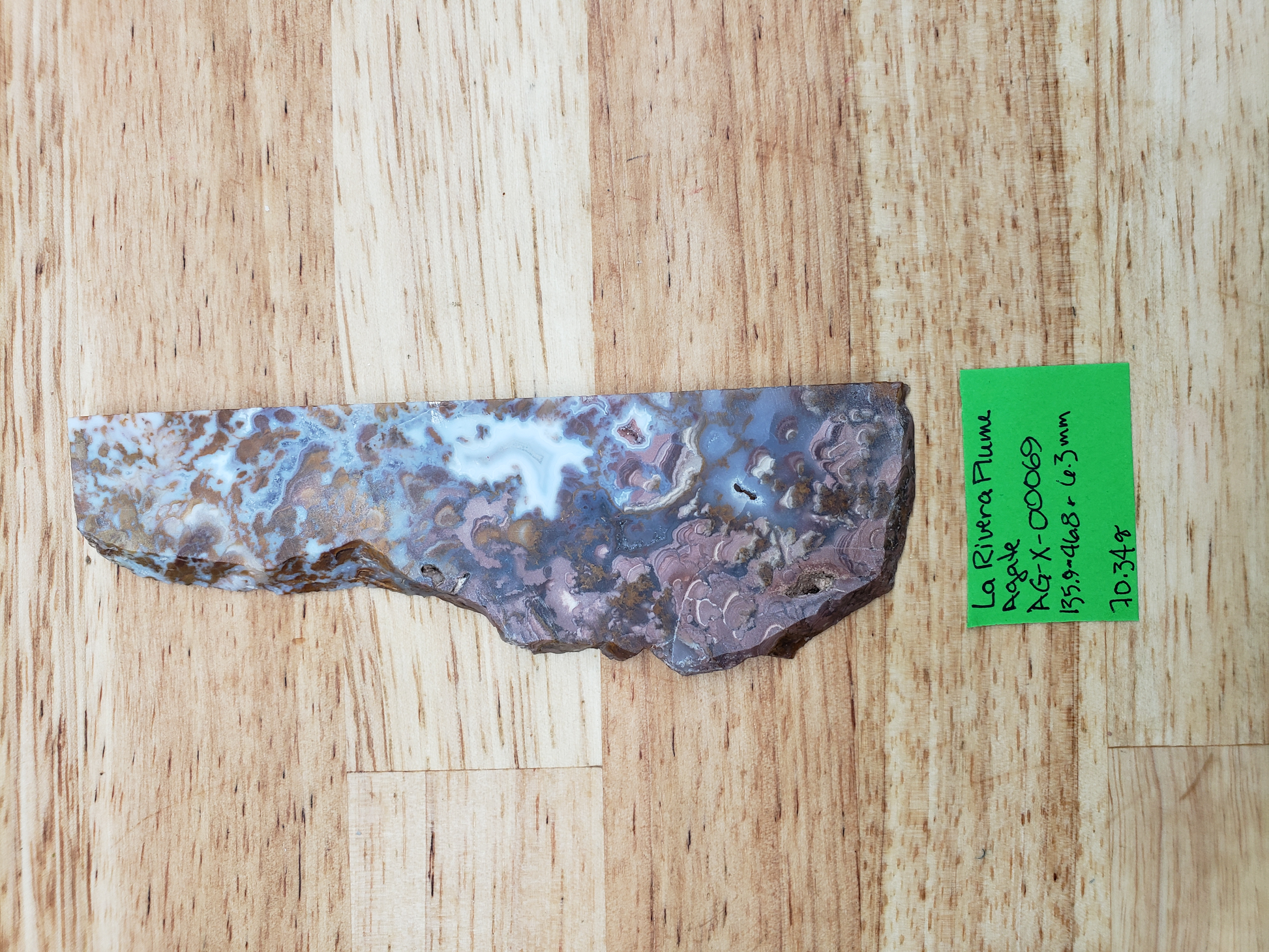 La Rivera Plume Agate AG-x-00069