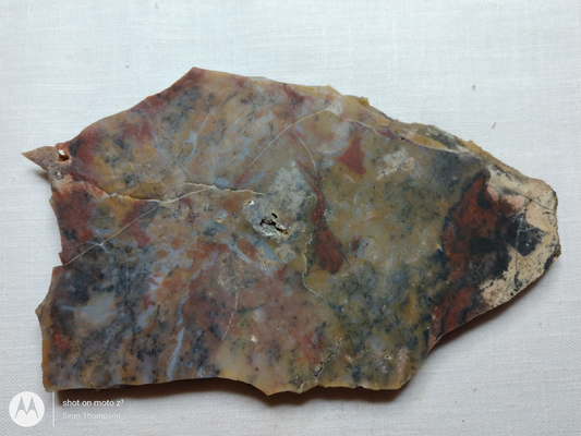 Holt Canyon Agate HC-00015-11