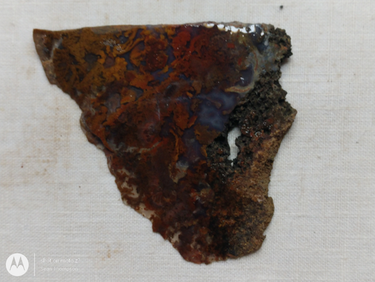 Holt Canyon Moss Agate HC-Bob-x1-00032