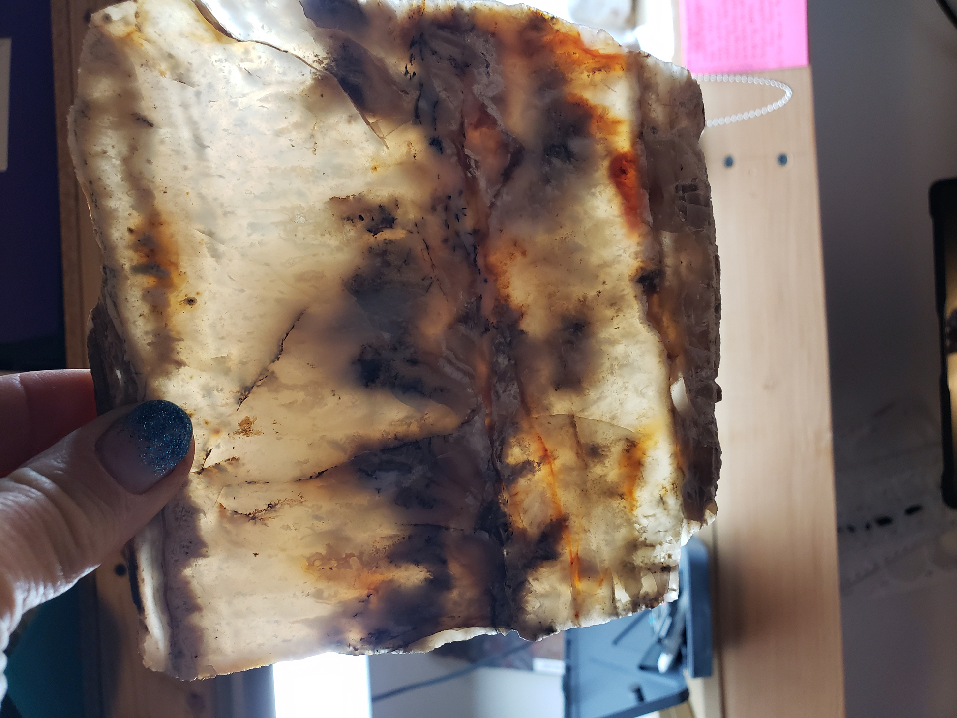 Graveyard Point Plume Agate AG-x-00009