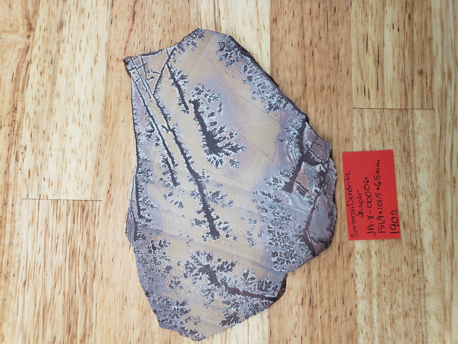 Sonoran Dendritic Jasper JA-x-00006