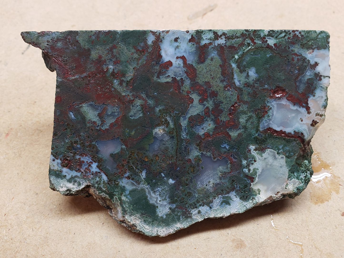 Holt Canyon Moss Agate HC-x-00012