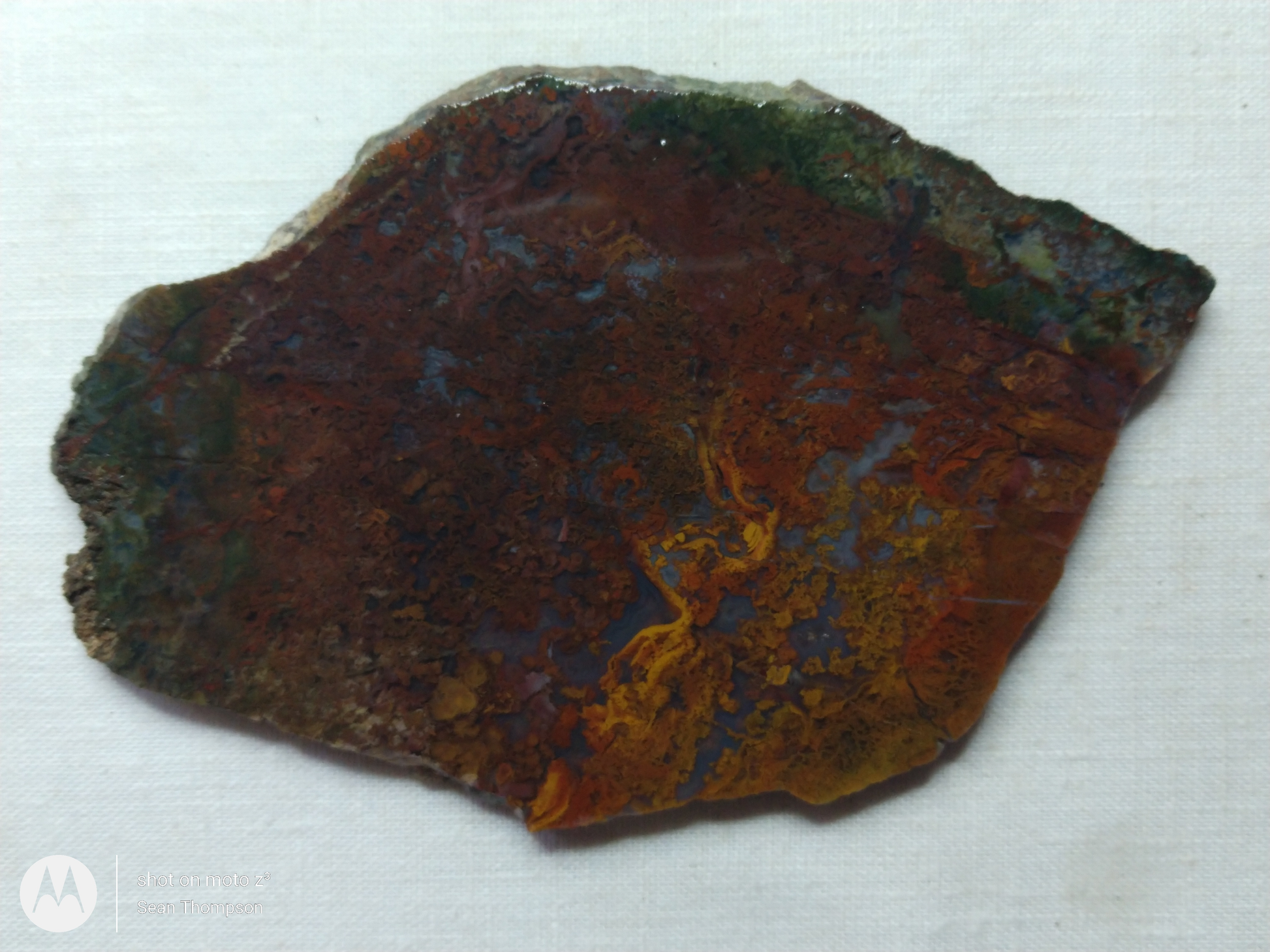 Holt Canyon Moss Agate HC-Bob-x1-00022