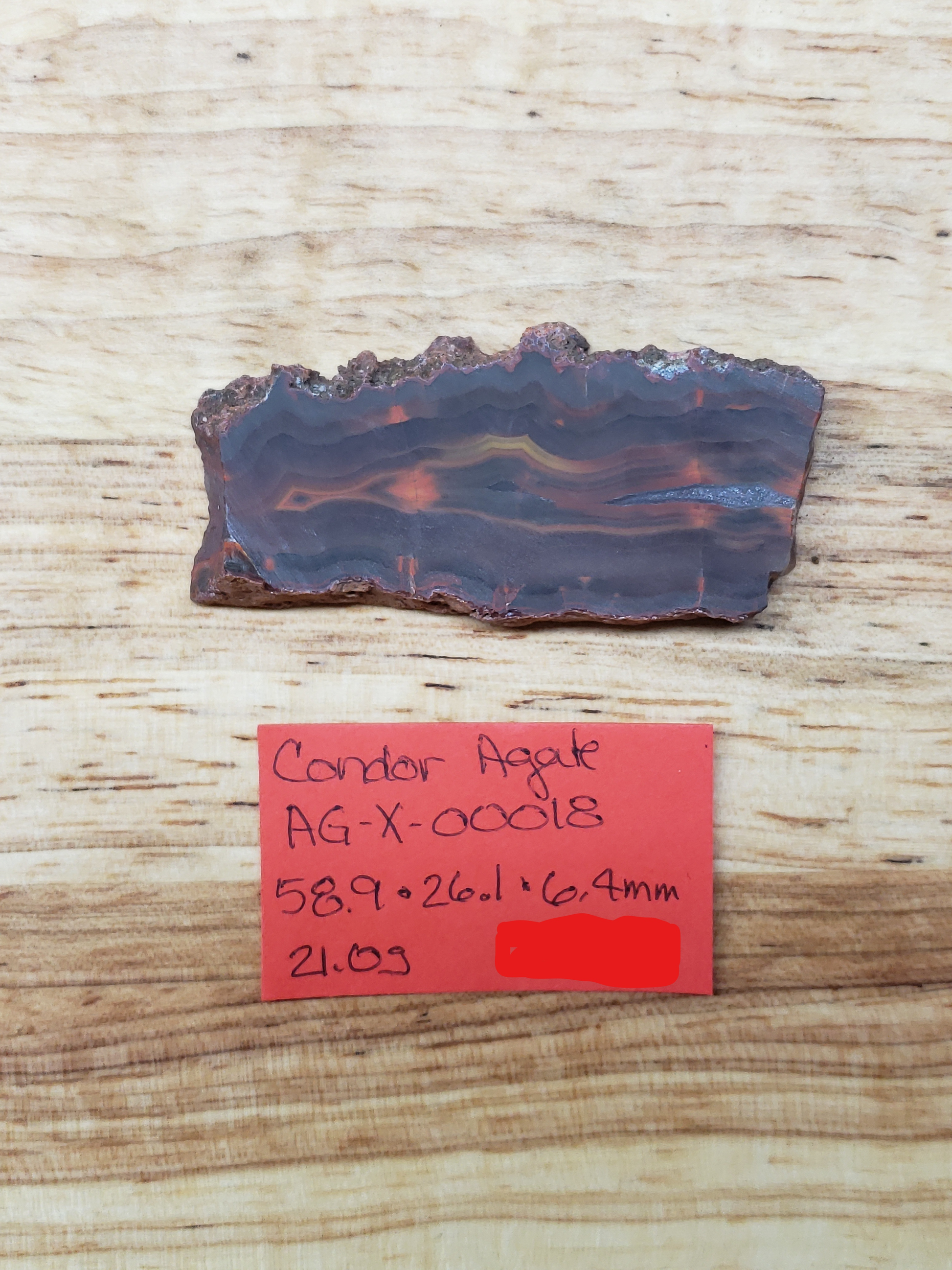 Condor Agate AG-x-00018