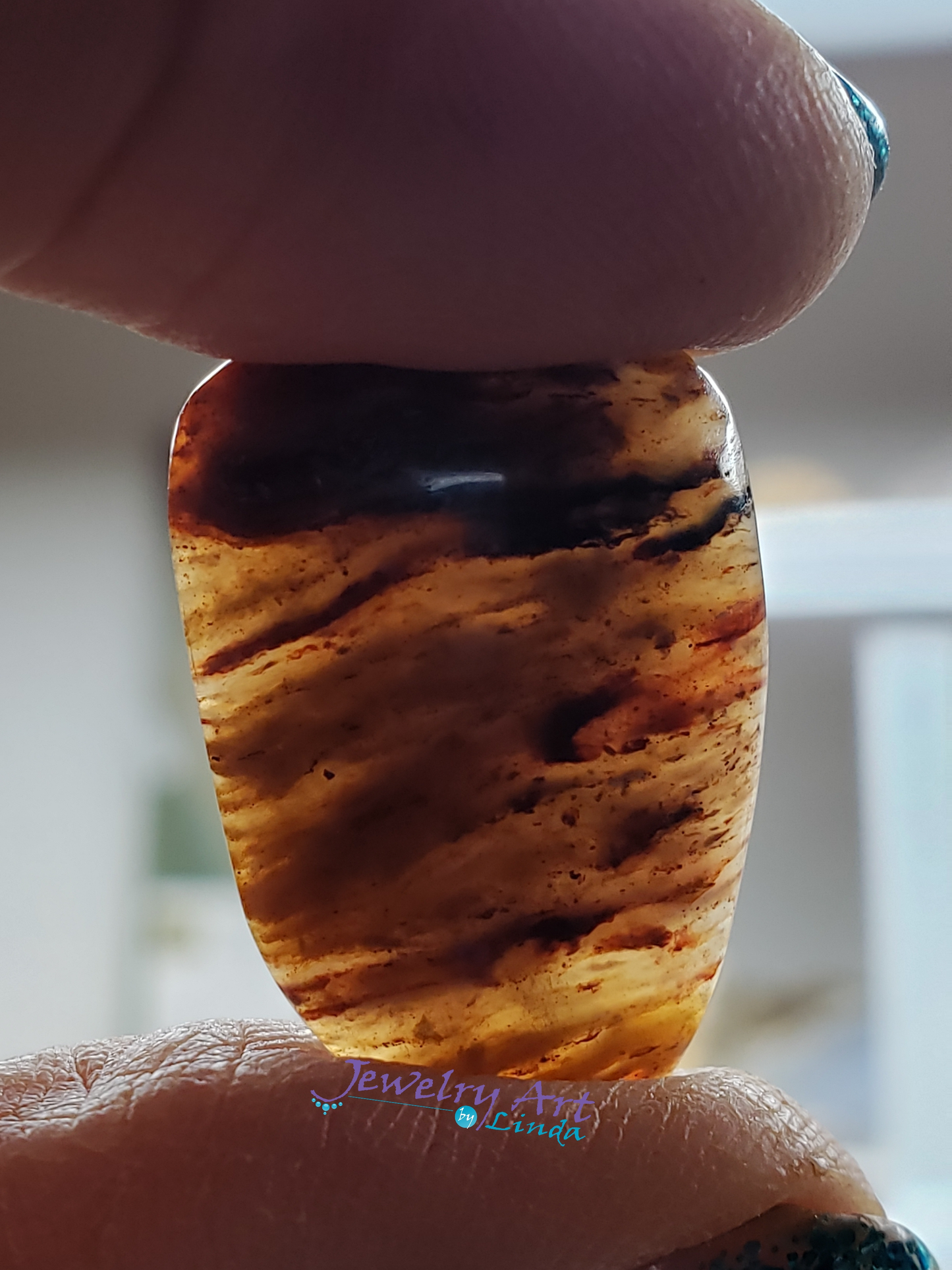 Petrified Wood PW-00003-02-02