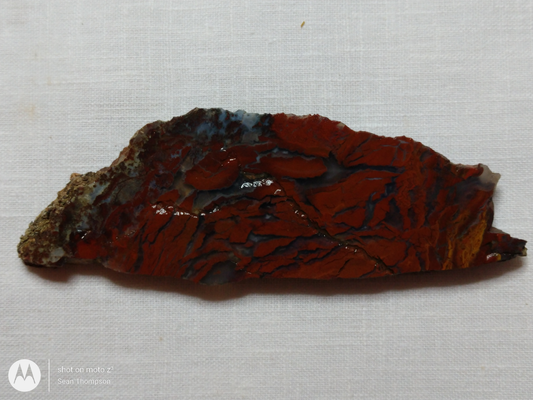 Holt Canyon Agate HC-00012-08