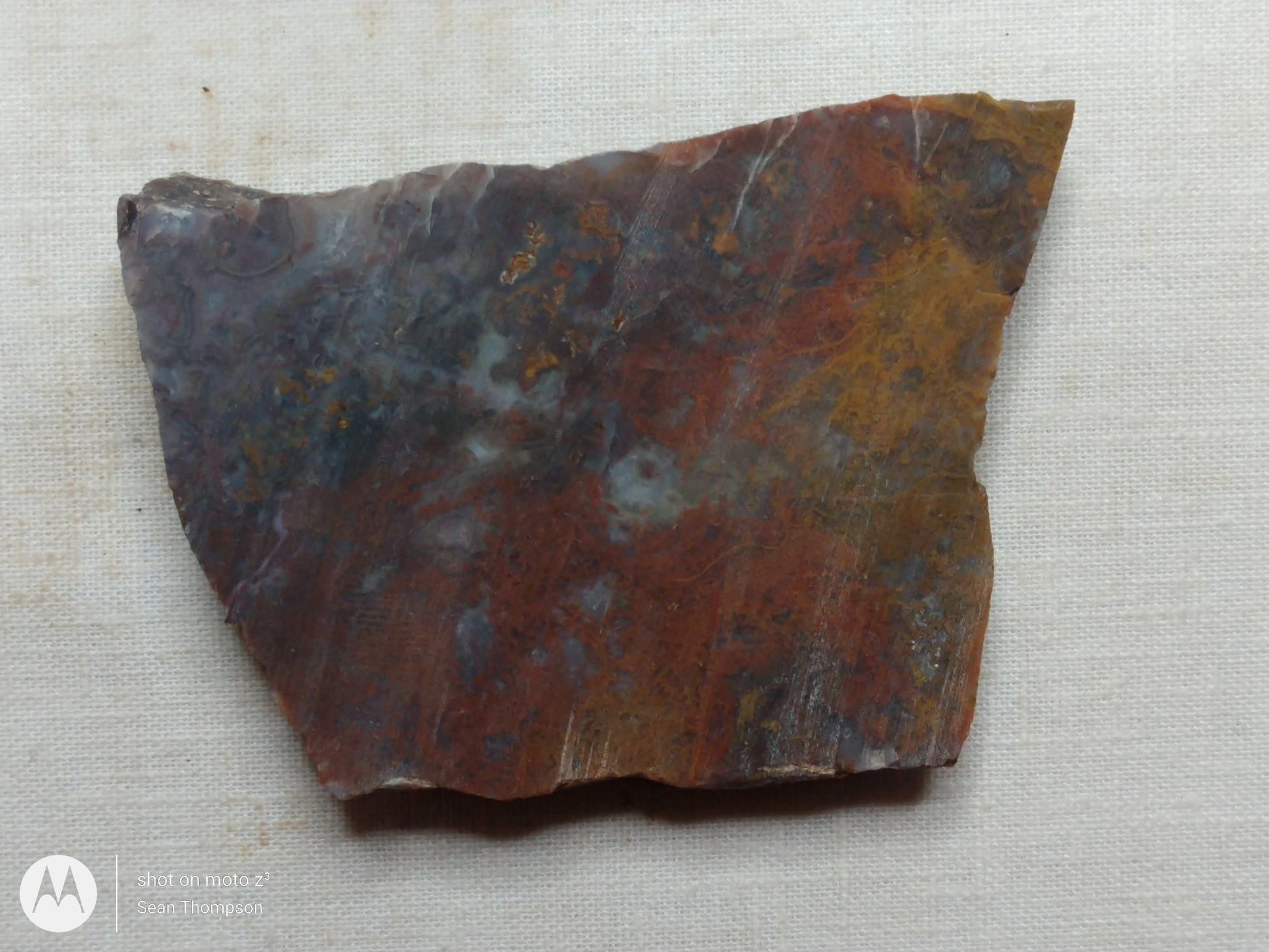 Holt Canyon Moss Agate HC-Bob-x1-00040