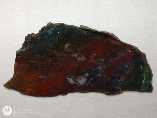 Holt Canyon Moss Agate HC-Bob-x1-00034