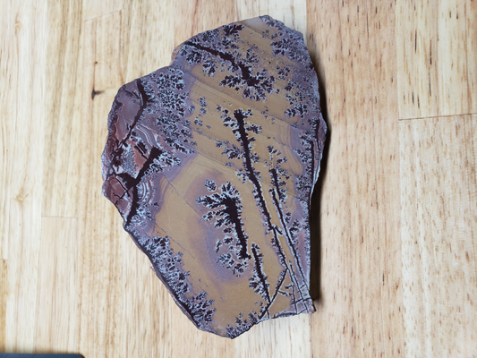 Sonoran Dendritic Jasper JA-x-00006