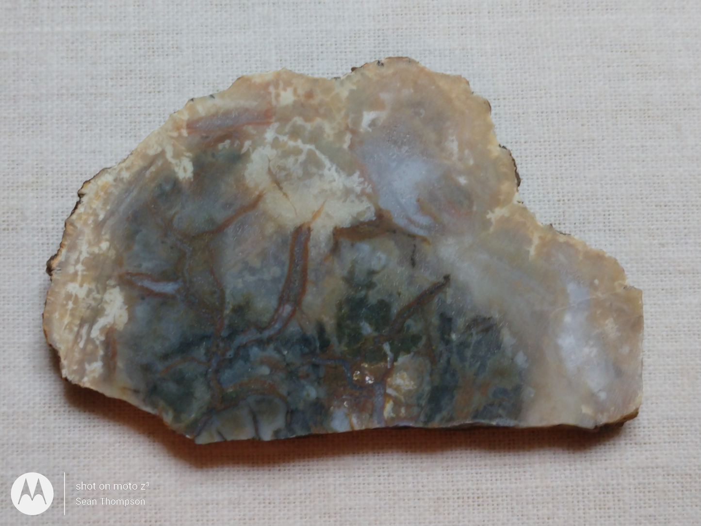 Coprolite FS-00006-03