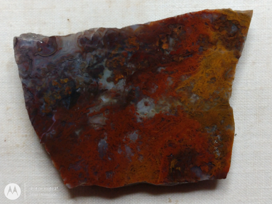 Holt Canyon Moss Agate HC-Bob-x1-00040