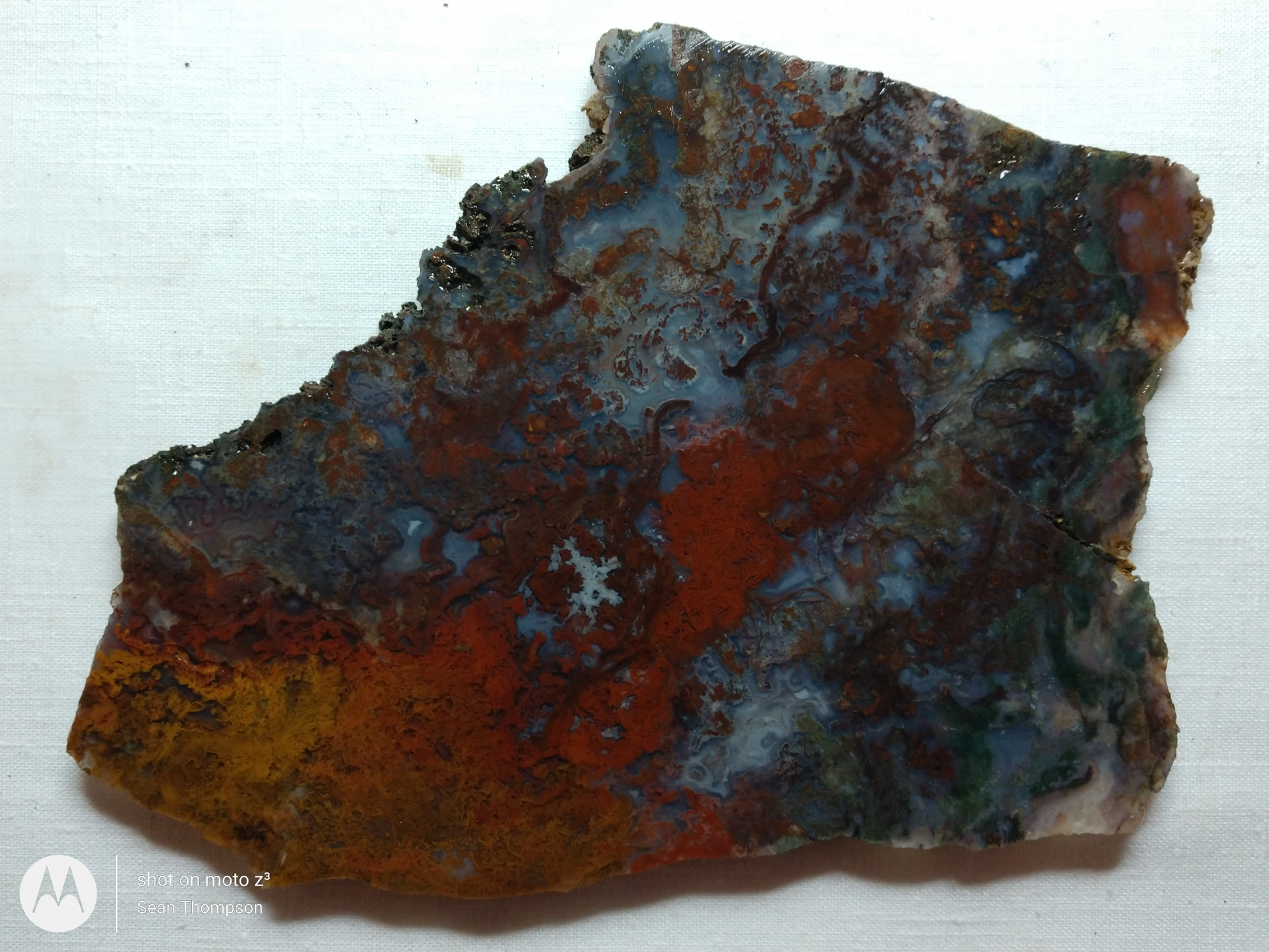 Holt Canyon Moss Agate HC-Bob-x1-00011