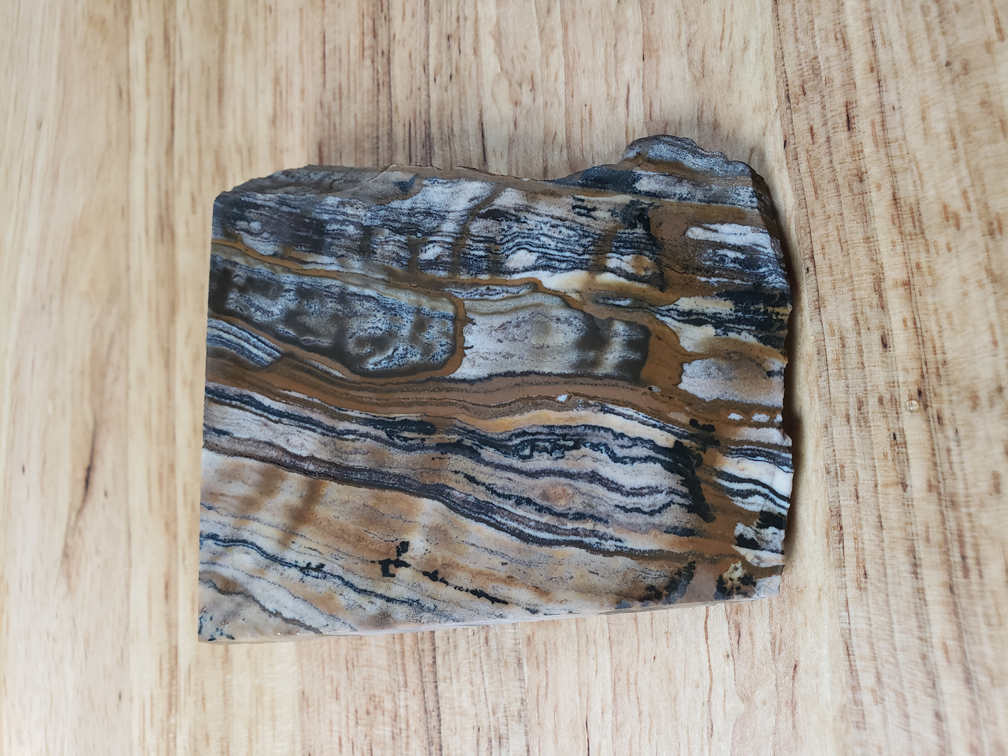 Picture Jasper JA-x-00042