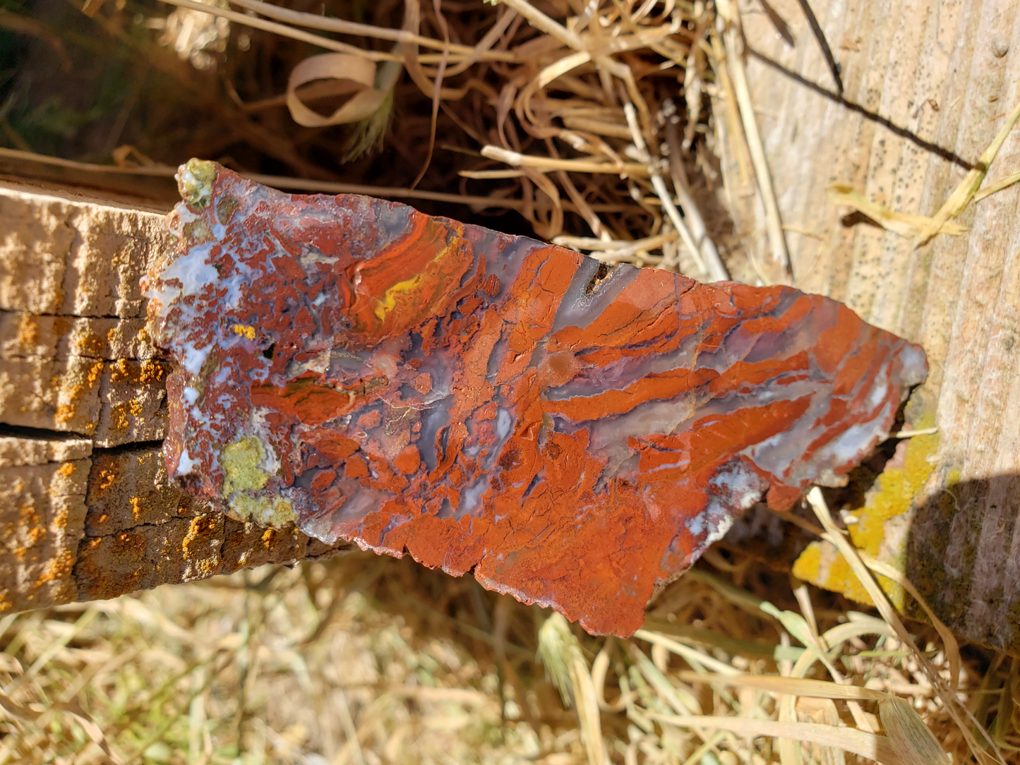 Holt Canyon Agate HC-x-00002