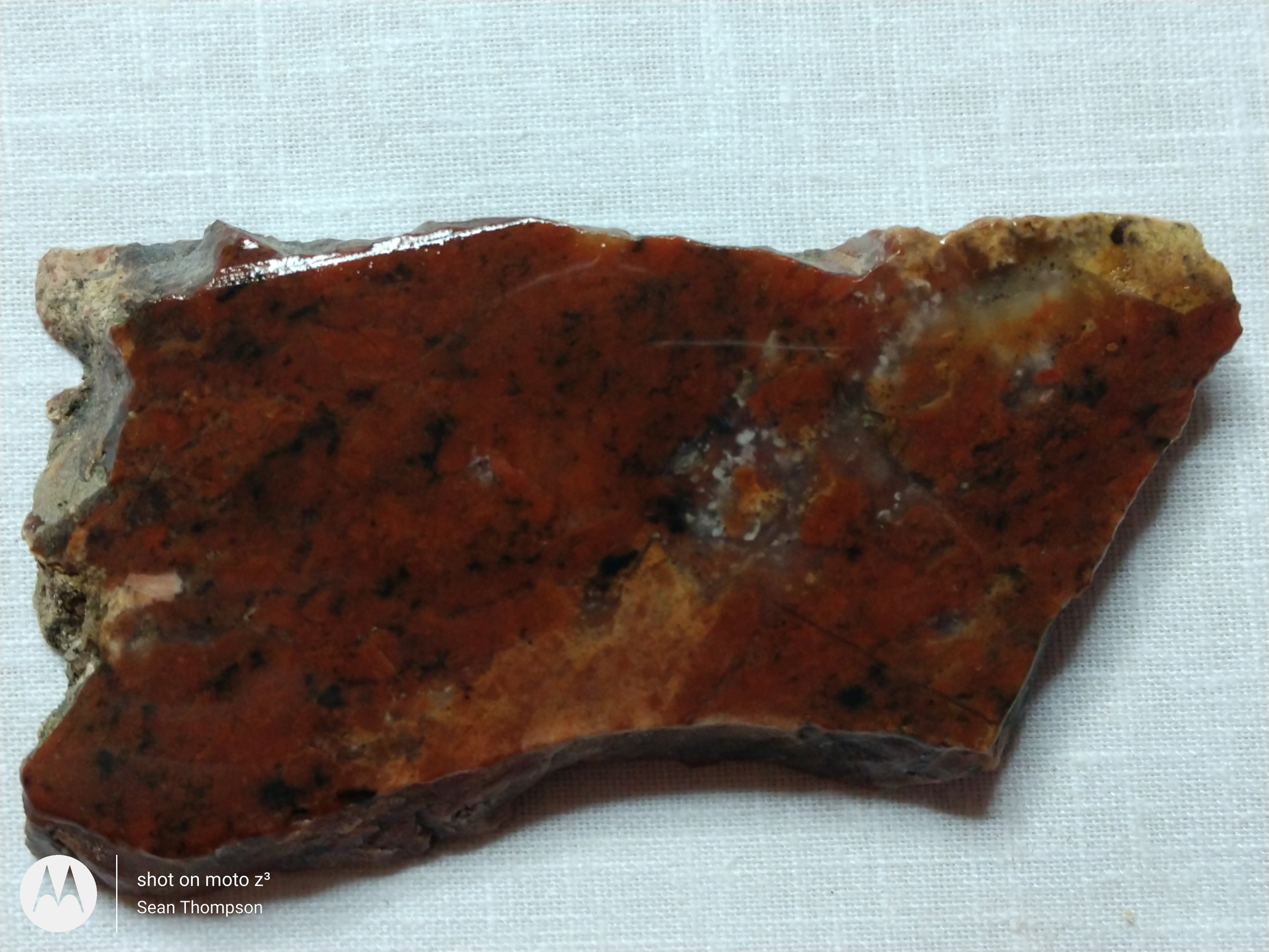 Holt Canyon Agate HC-00010-01