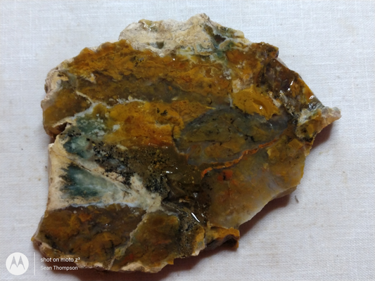 Brian Head Agate BH-00010-28