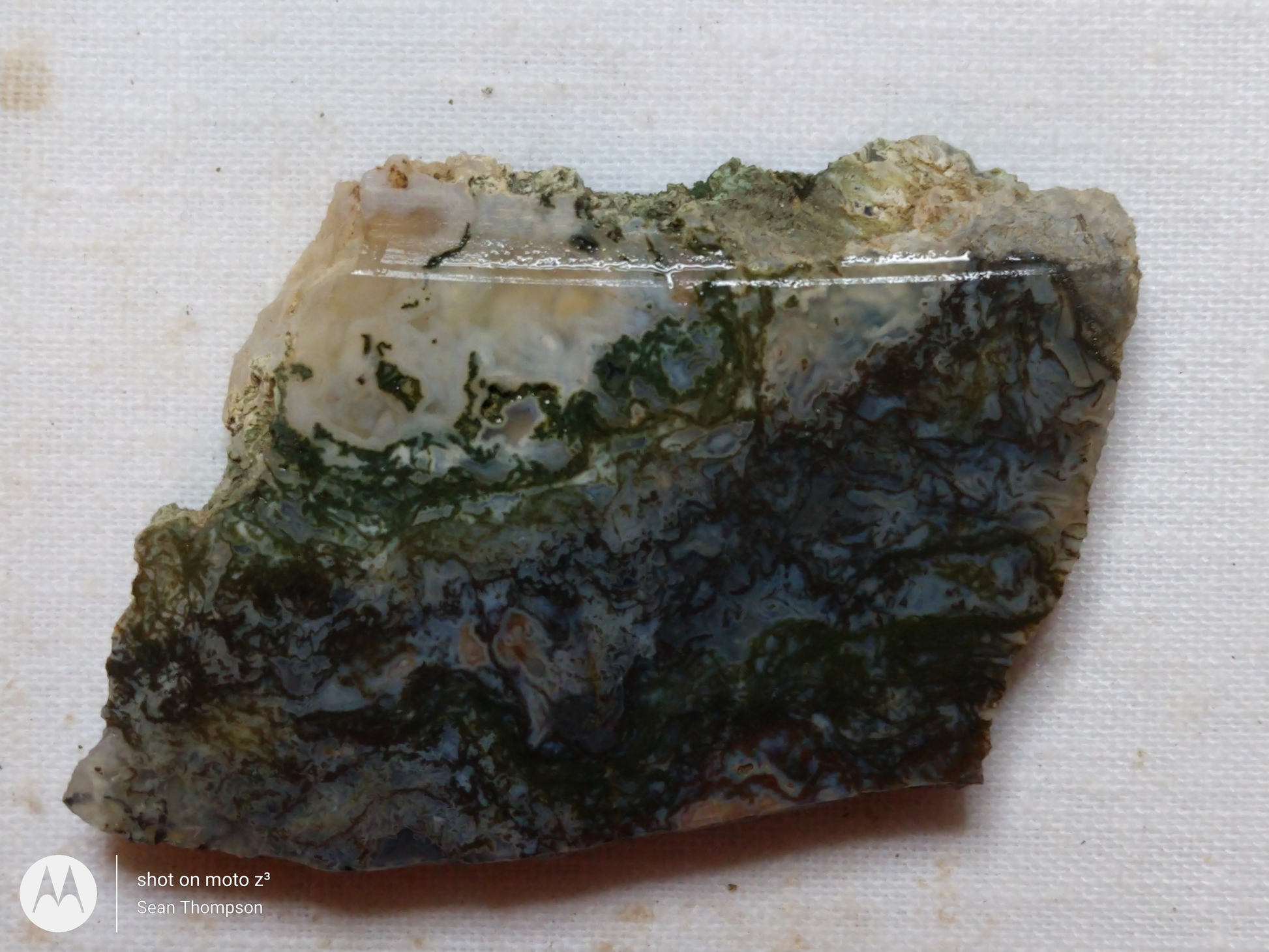 Holt Canyon Moss Agate HC-00014-05