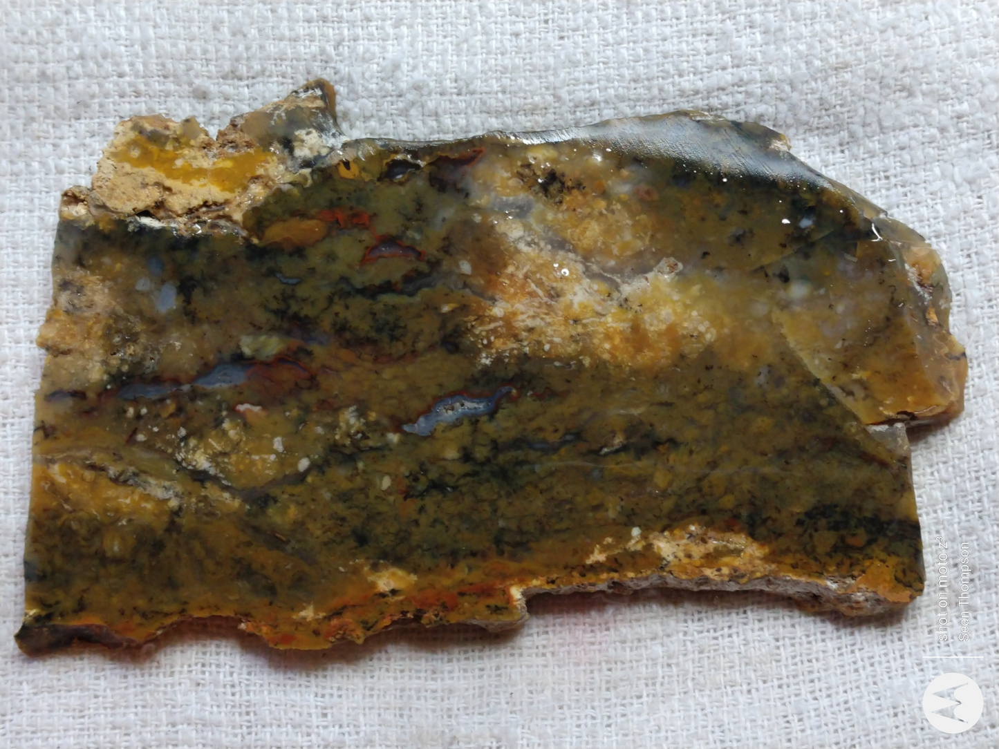 Brian Head Agate BH-00005-05