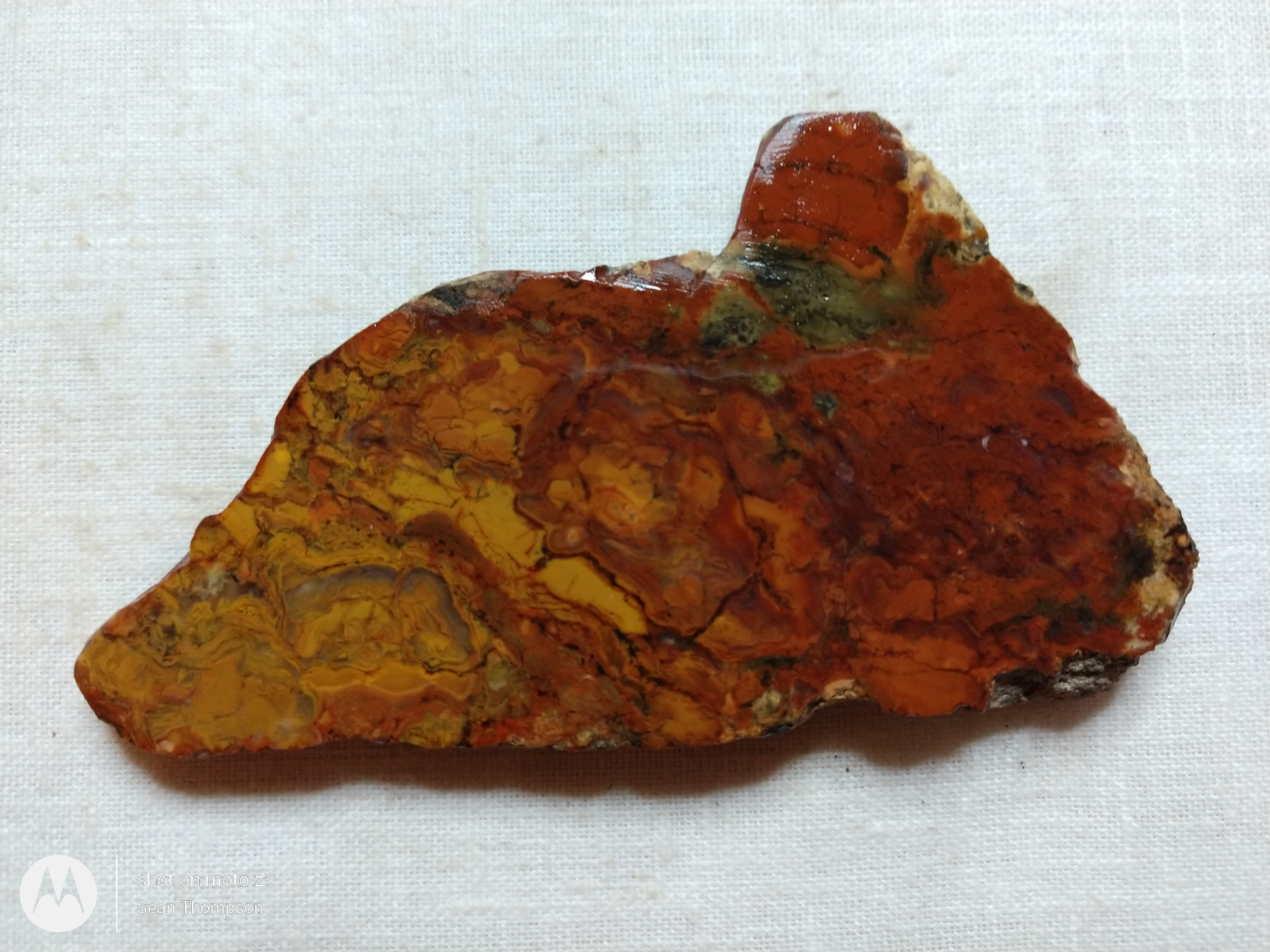 Brian Head Agate BH-00009-01