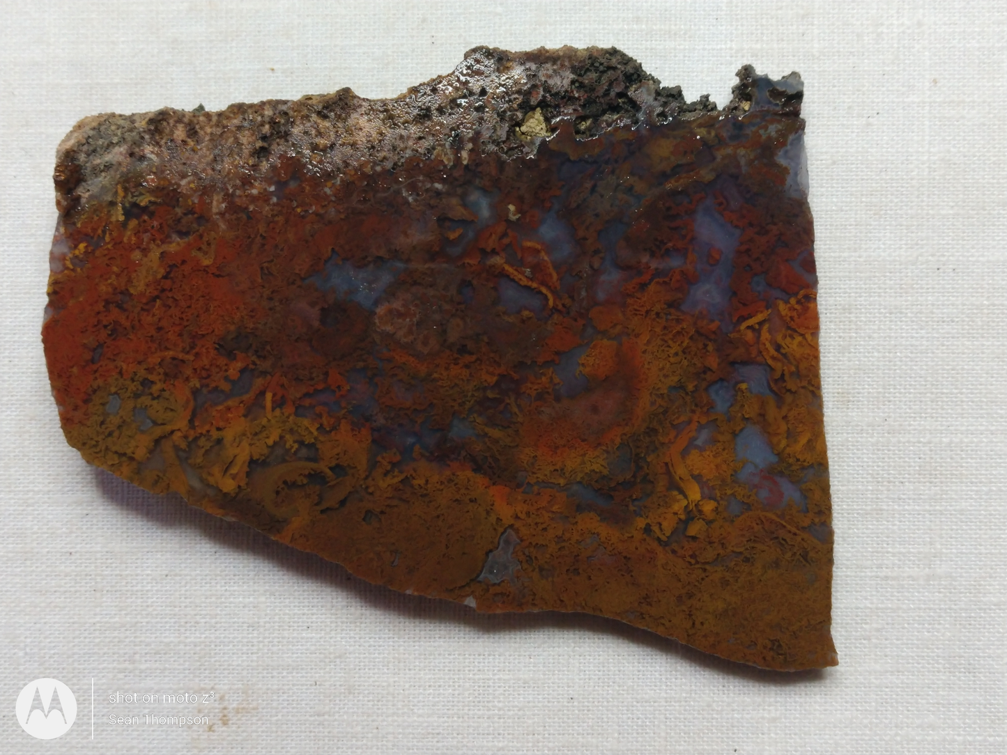 Holt Canyon Moss Agate HC-Bob-x1-00026