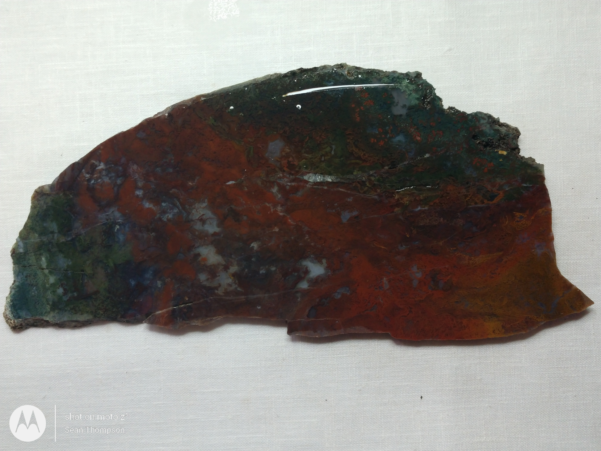 Holt Canyon Moss Agate HC-Bob-x1-00015