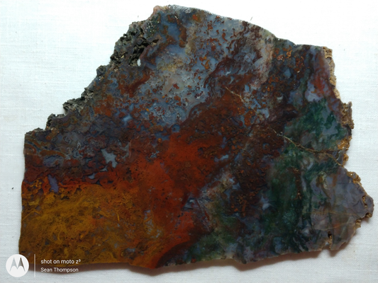 Holt Canyon Moss Agate HC-Bob-x1-00010