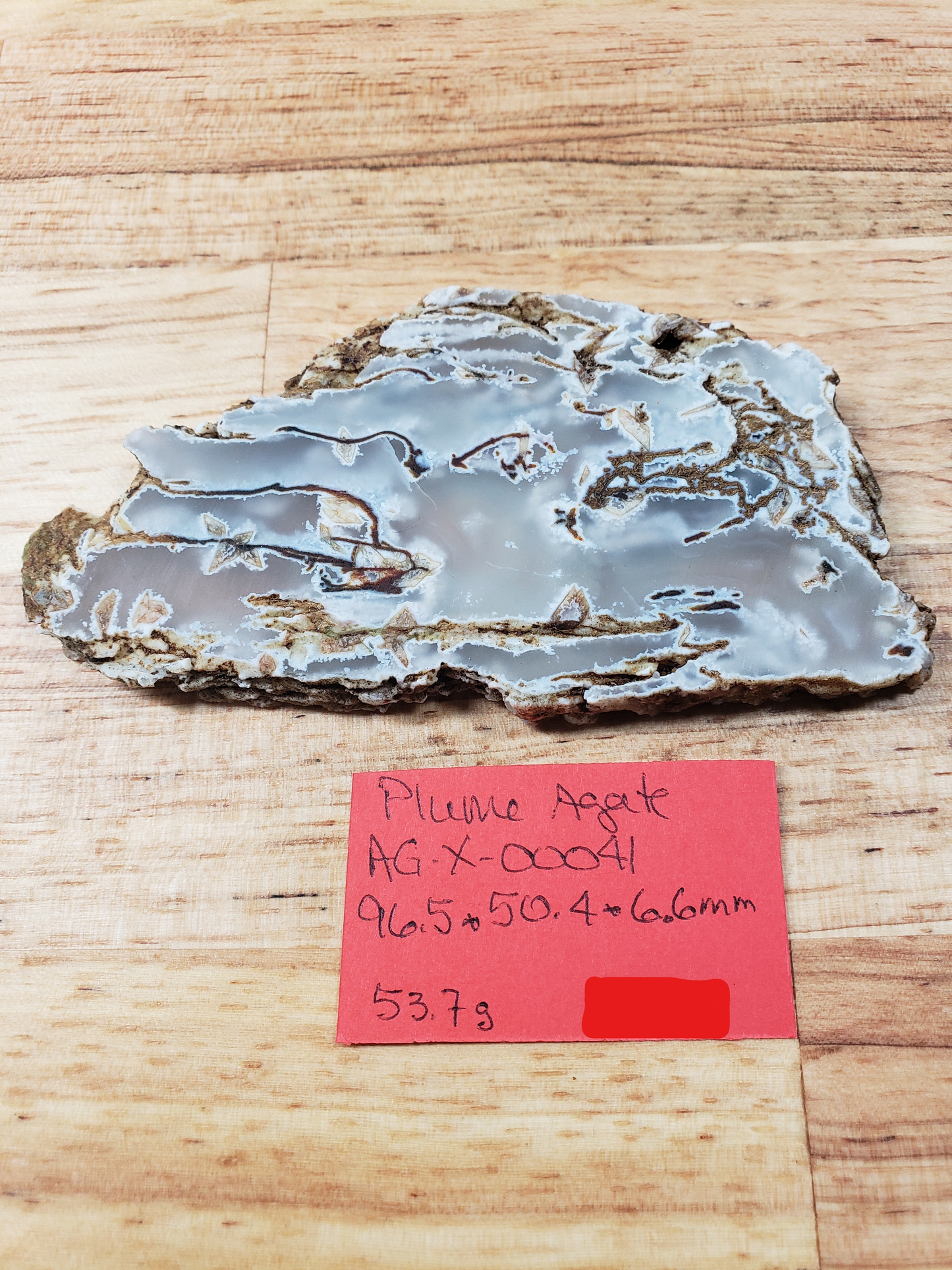 Plume Agate AG-x-00041