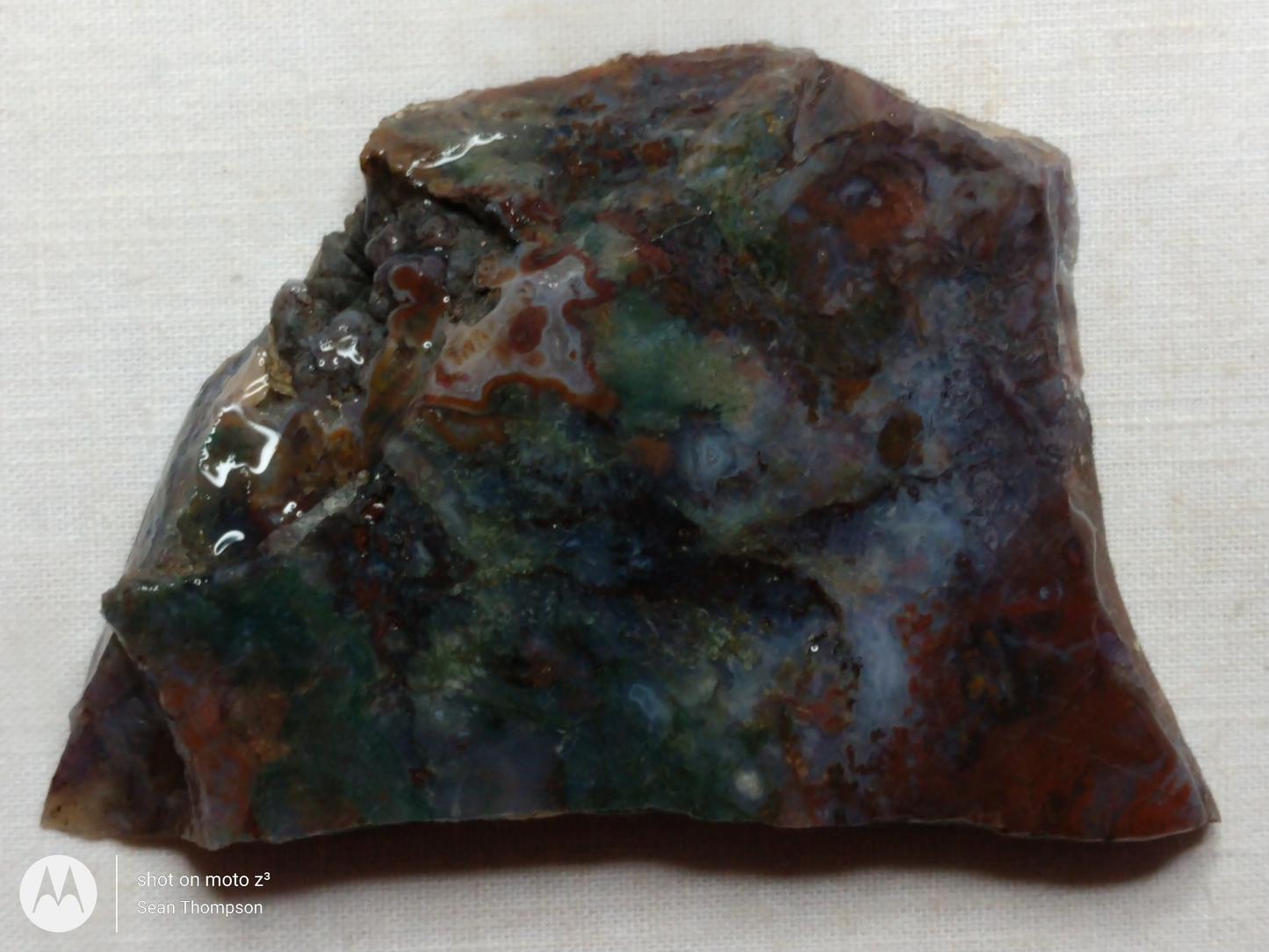 Holt Canyon Moss Agate HC-Bob-x1-00038