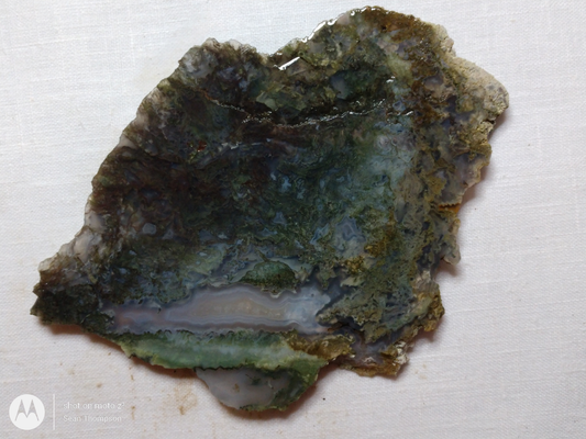 Holt Canyon Moss Agate HC-00014-08